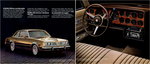 1981 Pontiac-19
